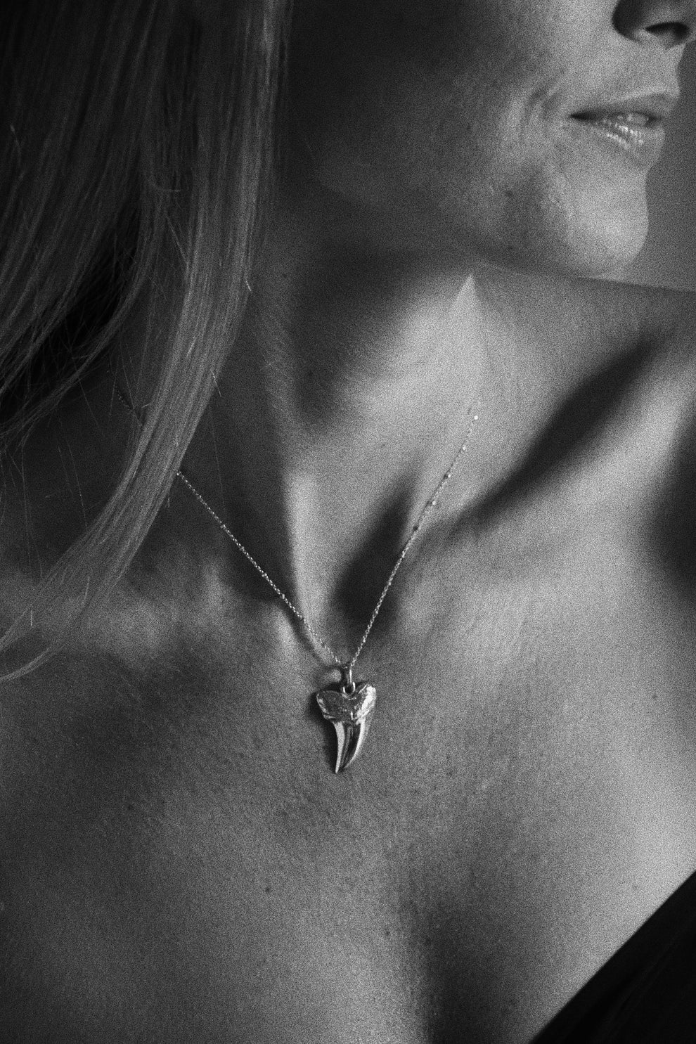 Discover Exquisite Elegance: The Maui Shark Tooth Necklace