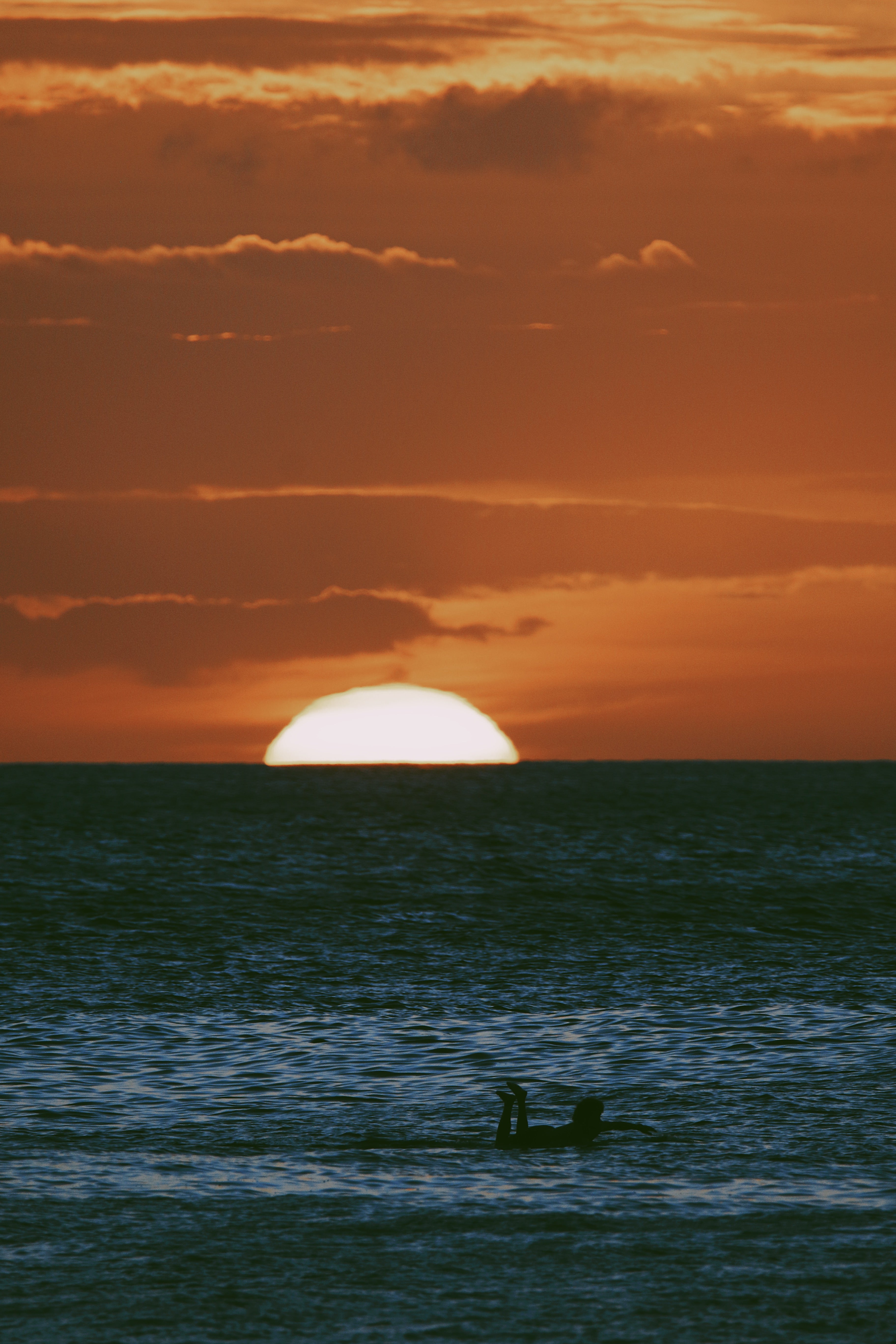 Introducing "Bali Bagus" Indonesian Whole Bean Coffee