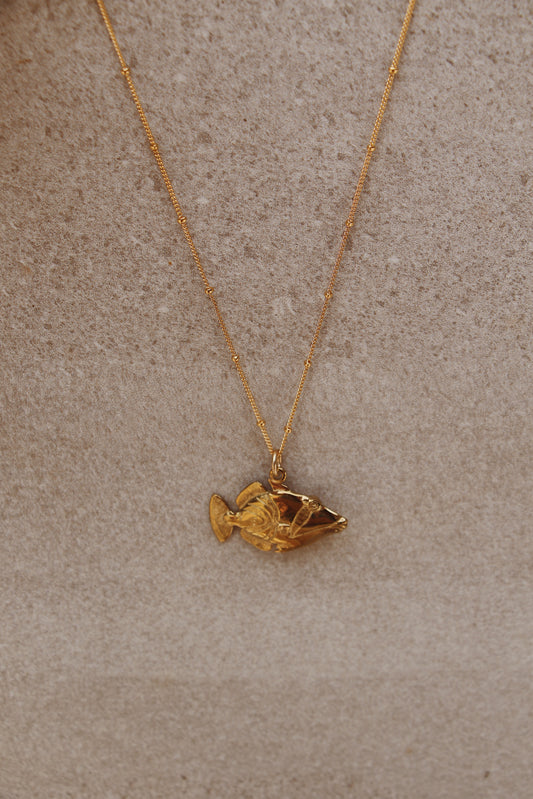 Introducing Our Humuhumunukunukuapua`a Pendant: Dive into the Beauty of Hawaii's Underwater Realm