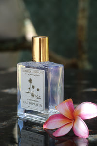 Experience the Power of Nature: The Benefits of Plant-Based Fragrance and Essential Oil Perfumes