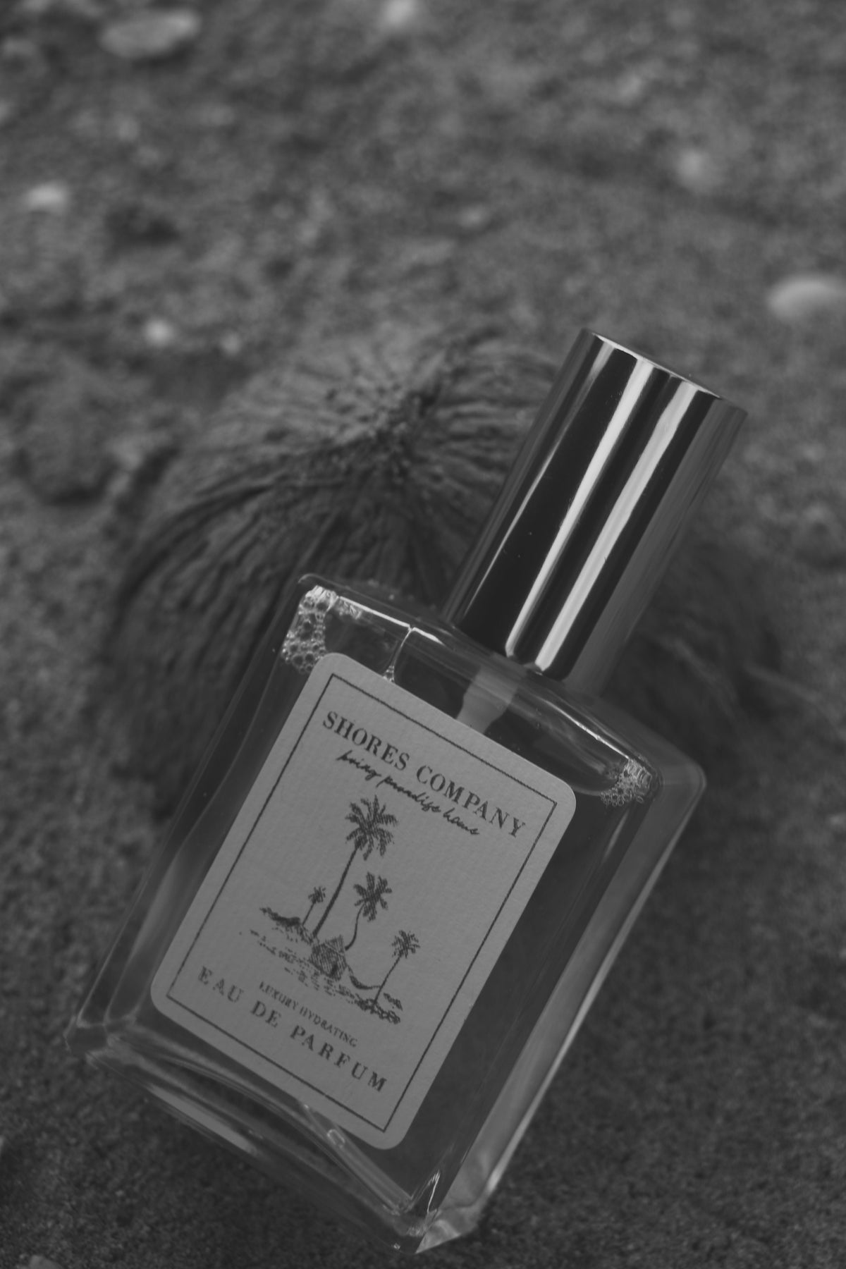Drifter Eau De Parfum: Capturing Tropical Warmth in Every Scent