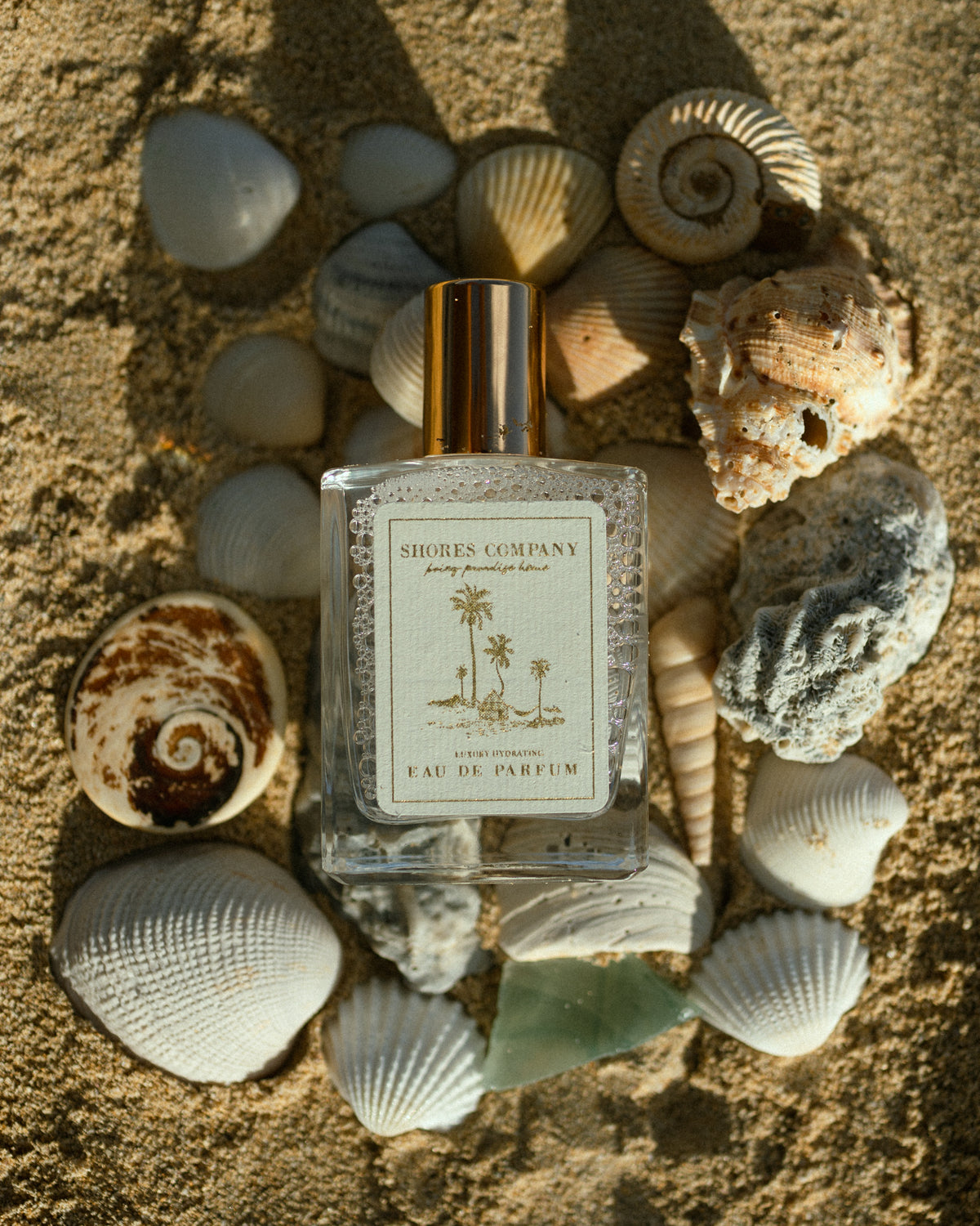 Discover Paradise: Why You Should Experience Shores Company and Our Flagship Store in Haleiwa, HI