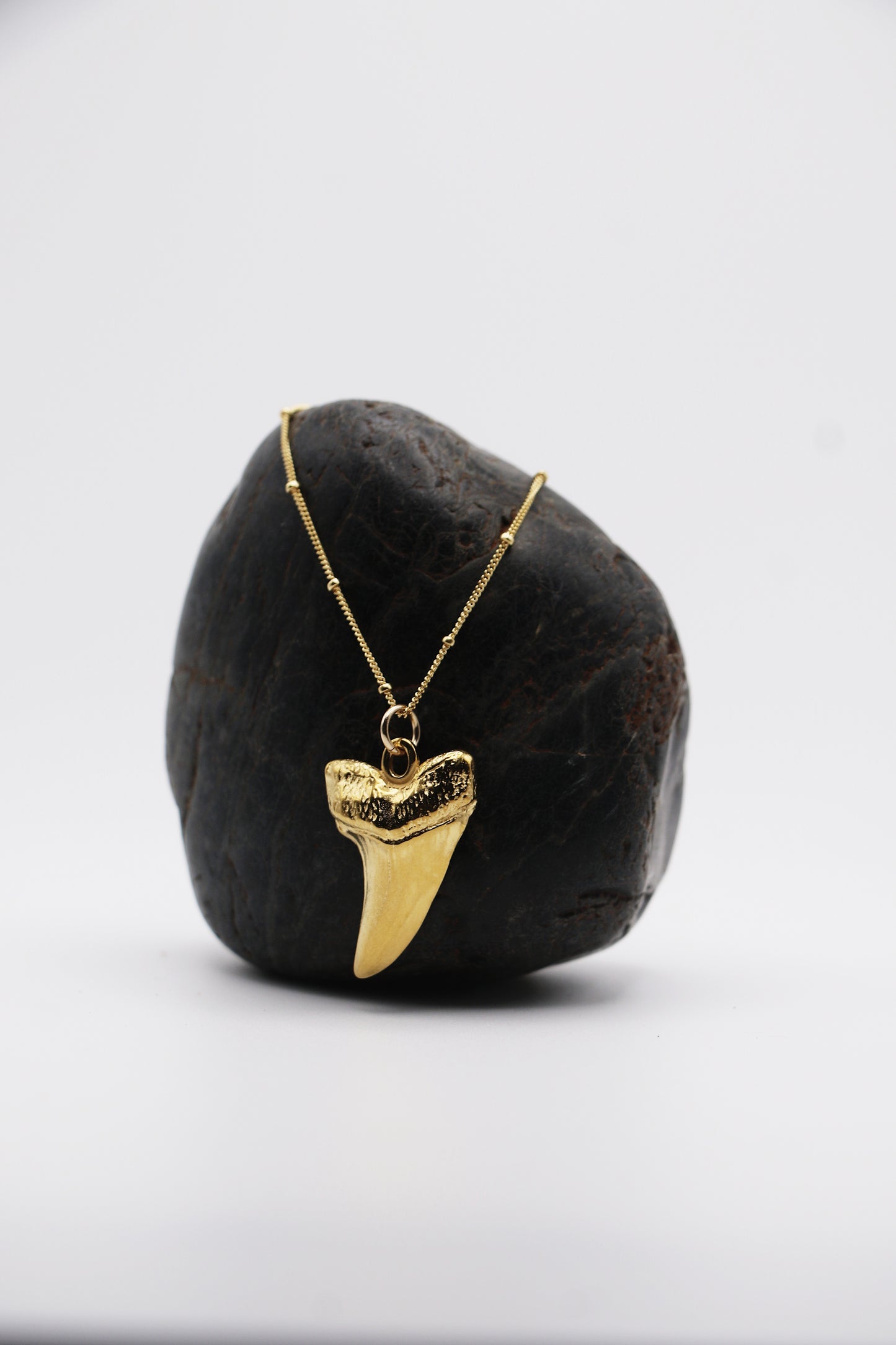 Maui Shark Tooth Necklace