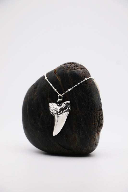 Maui Shark Tooth Necklace