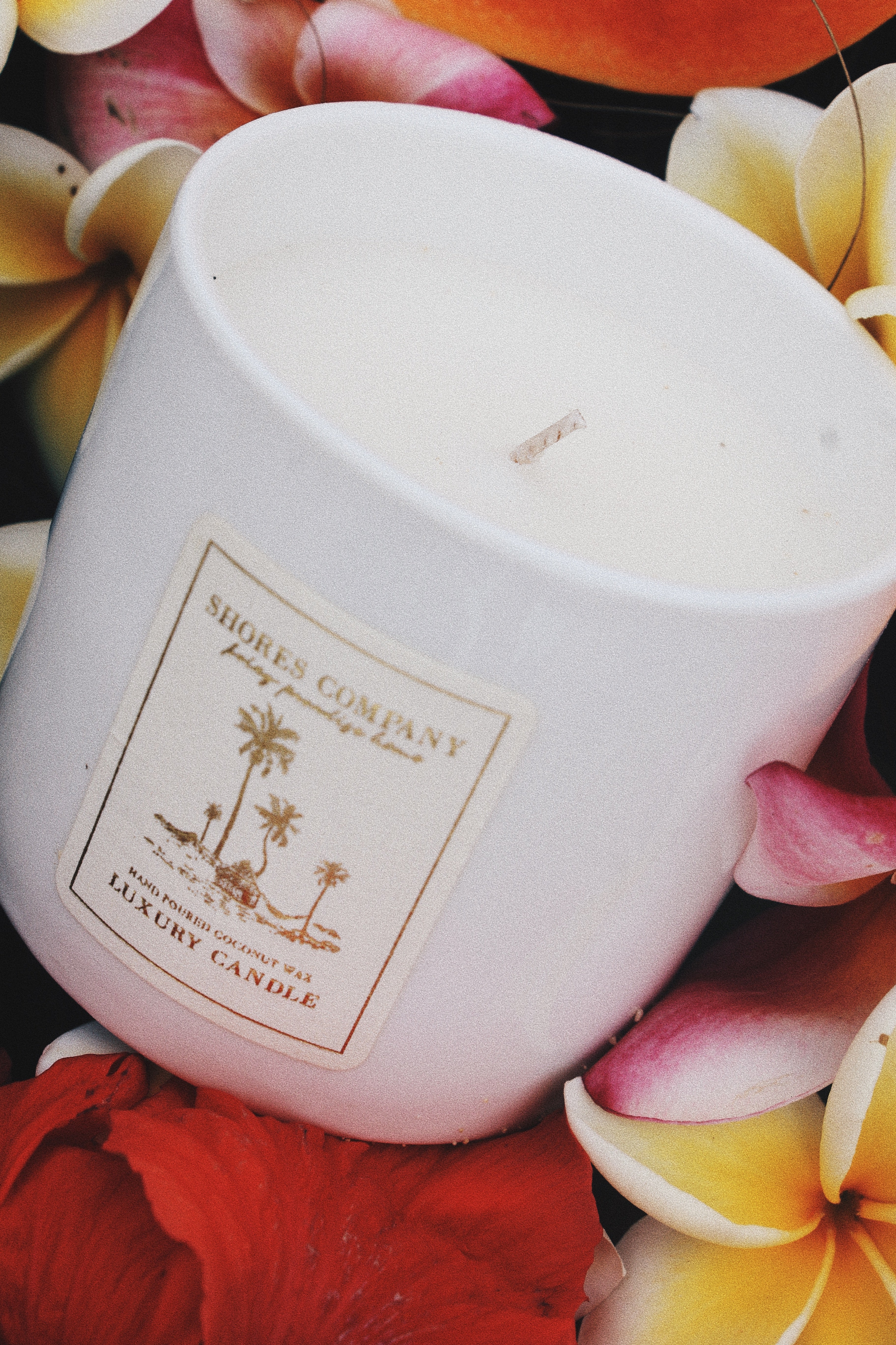 Island Bohemia 8oz Coconut Wax Candle in Ceramic - Hand-Poured with a Clean-Burning, Tropical Scent. Blends Mandarin, Orange, Coconut, and Jasmine for a Bright, Sun-Kissed Aroma, Bringing Playful Island Vibes into Any Space. Ideal for Home Decor and Gifting.