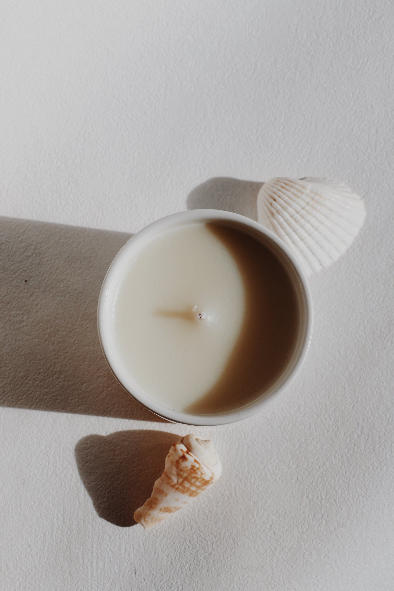 Shores Candle in a white container with two seashells on a light gray background