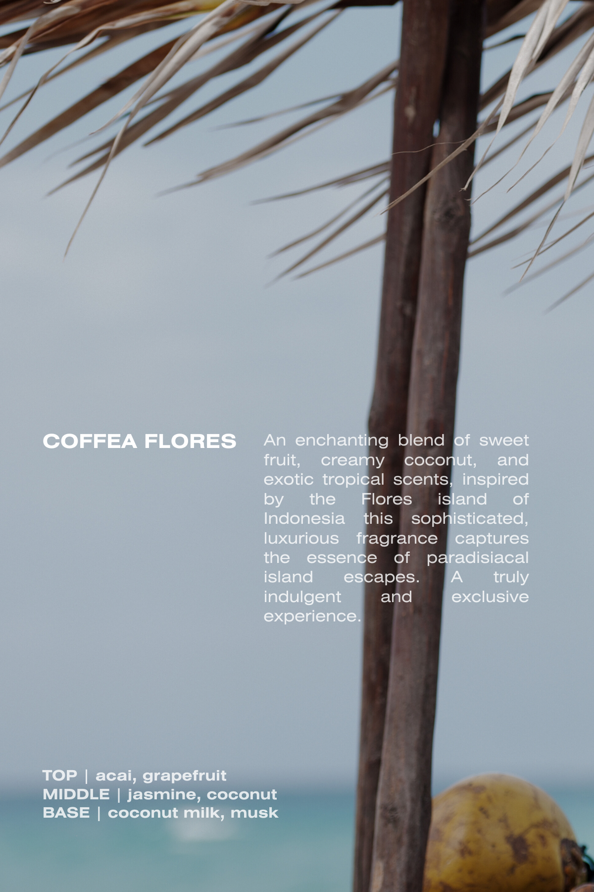 Elegant bottle of Coffea Flores Eau de Parfum, featuring a tropical blend of acai, jasmine, and coconut milk. A refreshing, island-inspired fragrance perfect for daily wear, capturing the essence of sunlit mornings and vibrant island life.