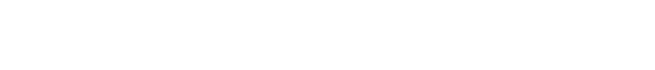 Shores Company