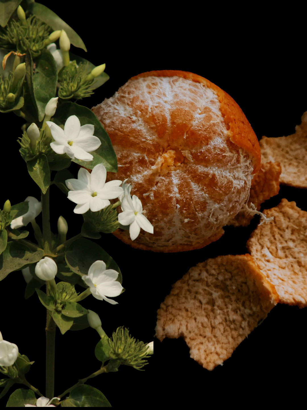 A peeled orange with white pith and scattered orange peels beside a flowering plant with small white blossoms and green leaves, set against a solid black background.