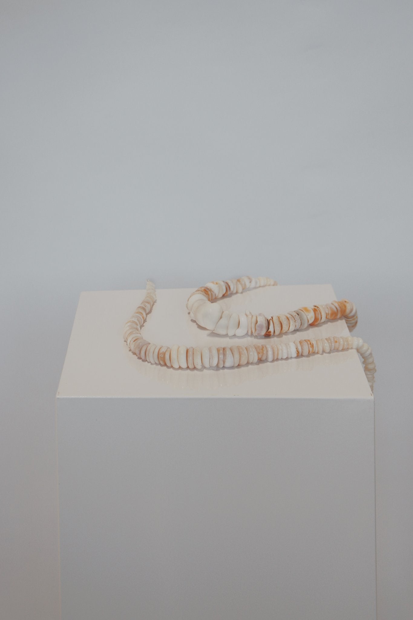 Low Tide Puka Necklace