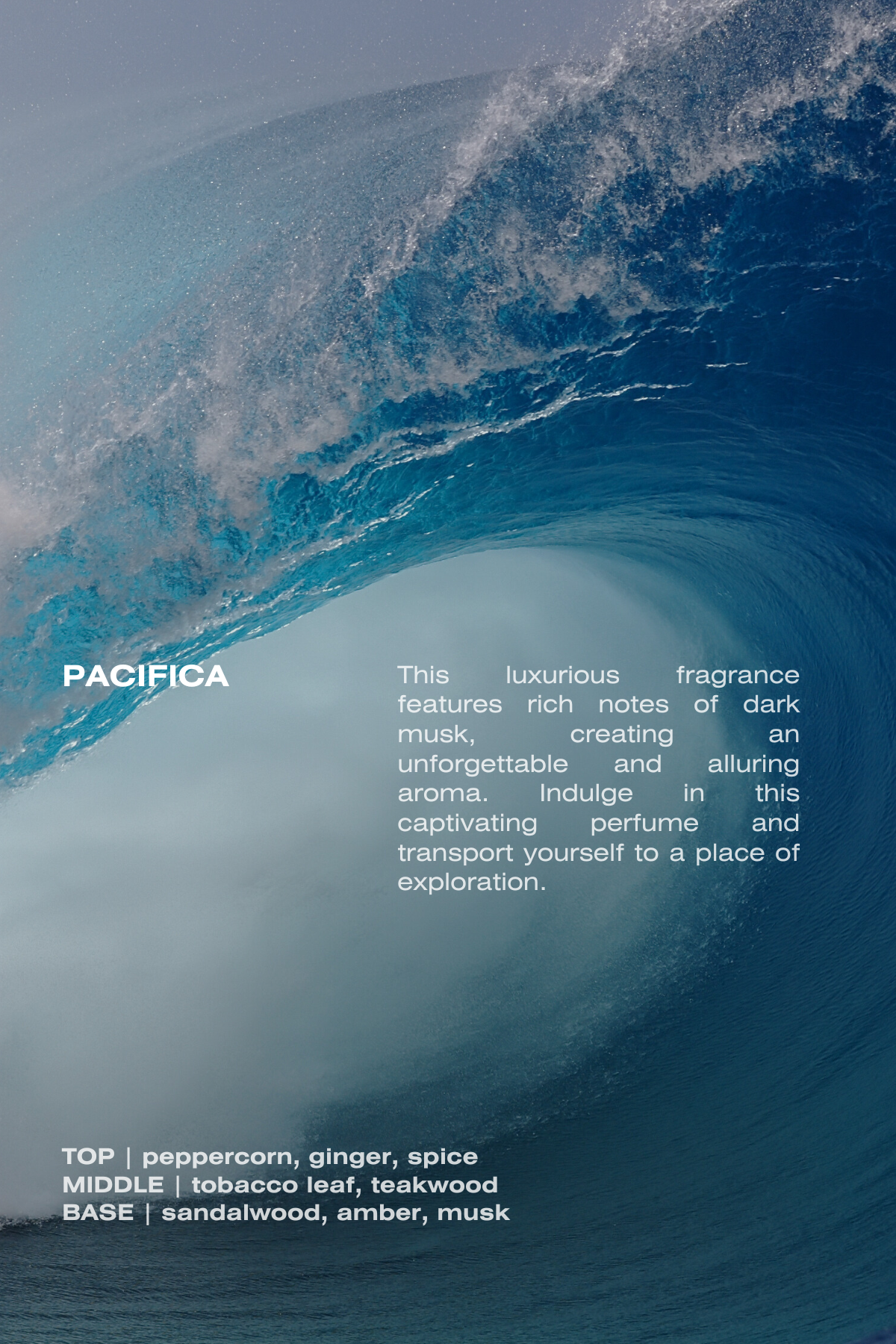 Pacifica Eau de Parfum bottle with a unique, spicy fragrance profile of peppercorn, teakwood, and musk, perfect for those who love a bold, coastal-inspired scent.