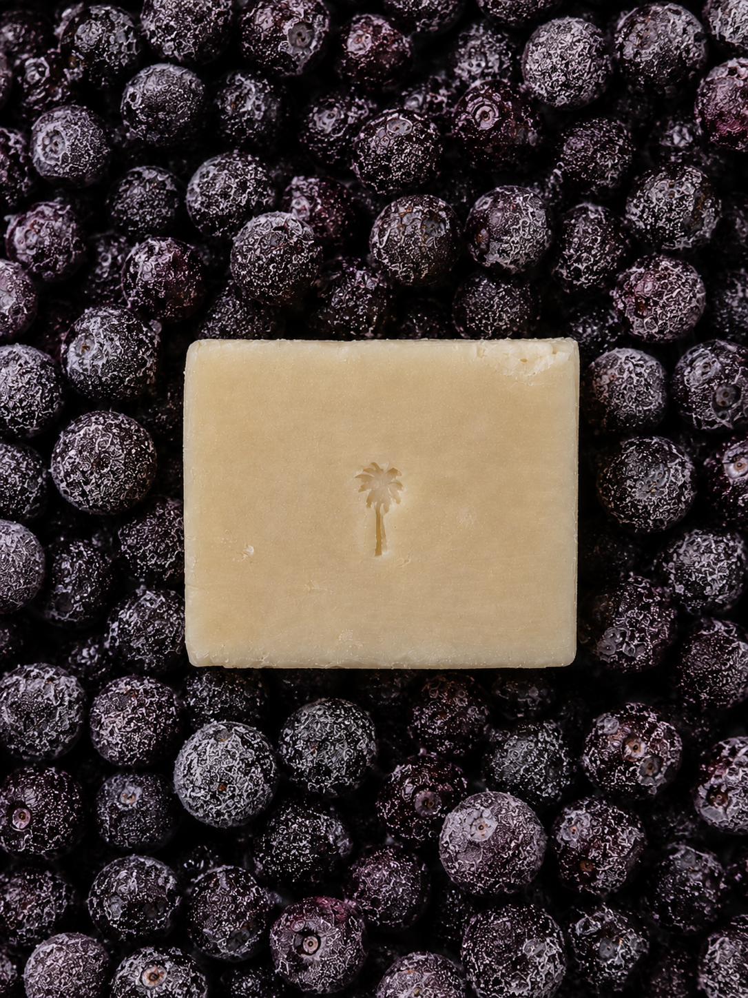 A rectangular bar of pale beige soap with an embossed palm tree logo, centered on a bed of dark purple frozen berries.