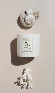 soft light photography of our ceramic hand poured coconut wax candles