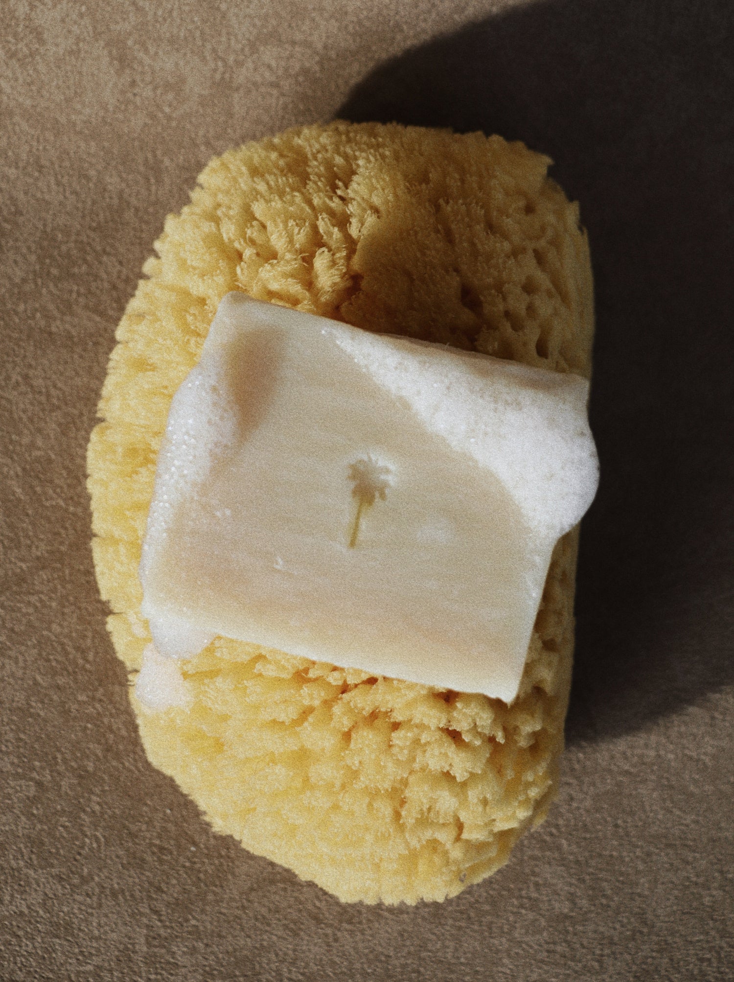 A natural yellow sponge bar with a white soap bar resting on top, photographed on a textured brown surface.