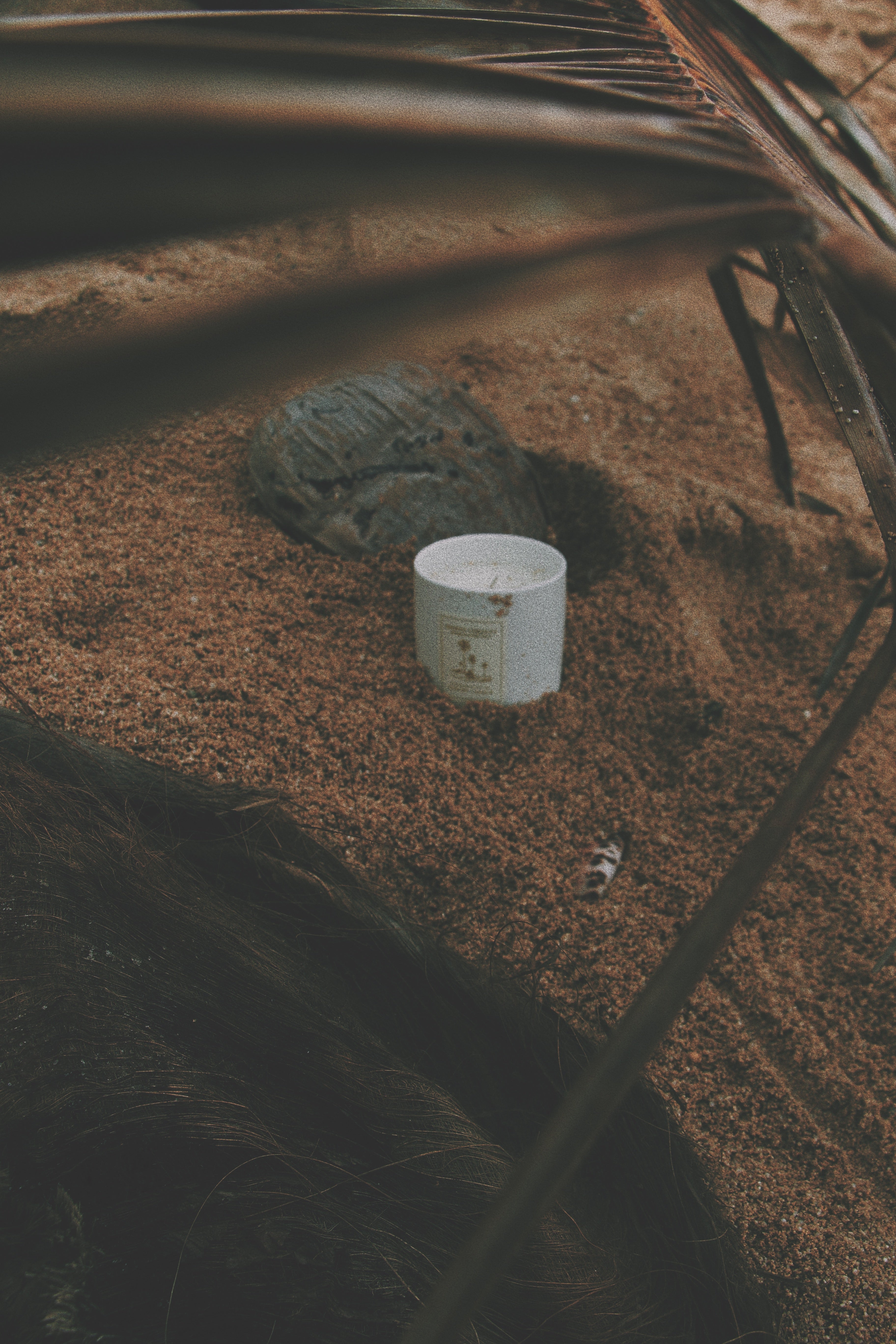 8oz Windswept Candle in Coconut Wax - Luxurious Ceramic Candle with Delicate, Floral Notes of Citrus, Rose, and Jasmine. Hand-Poured for a Relaxing Burn, Ideal for Adding a Touch of Island Elegance to Your Home.